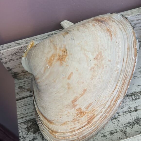 handcrafted ring/ trinket dish - Picture 10 of 10